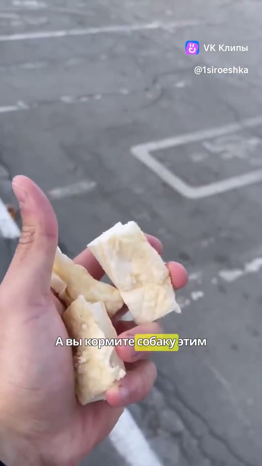 Сыроешка в деле — выпуск 1