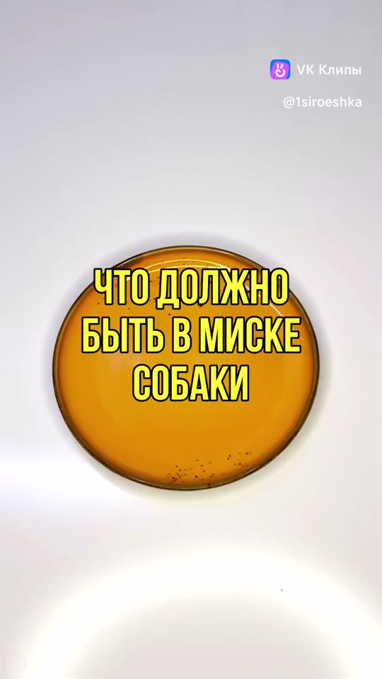 Сыроешка в деле — выпуск 4